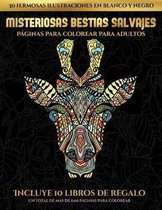 Paginas para colorear para adultos (Misteriosas bestias salvajes)