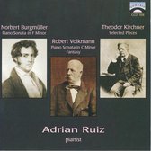 Norbert Burgmüller: Piano Sonata in F minor; Robert Volkmann: Piano Sonata in C minor; Fantasy; etc.