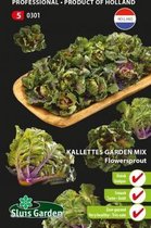 Sluis Garden - Kalettes, Flowersprout