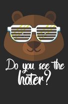 Do you see the hater?