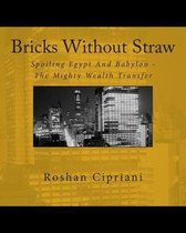 Bricks Without Straw