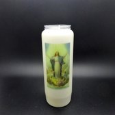 20 stuks Noveenkaars Heilige Maria