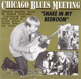 Chicago Blues Meeting: Snake in My Bedroom
