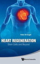Heart Regeneration