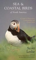 Sea and Coastal Birds of North America