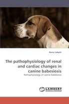 The pathophysiology of renal and cardiac changes in canine babesiosis