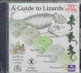 Waters, M: A Guide to Lizards