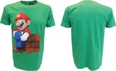 Nintendo-Mario Block Green-L