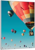 Acrylglas –Luchtballonen– 80x120cm (Wanddecoratie op Acrylglas)