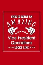 This is What an Amazing Vice President Operations Look Like