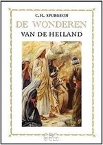 De wonderen van de heiland