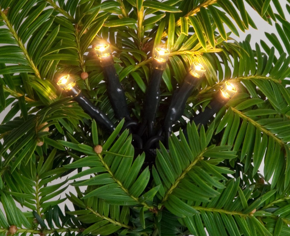 CBD Snoerverlichting LED - 3,5 m - Groen snoer - Fris wit