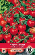 3 stuks Van Hemert & Co Tomaat Gardeners Delight