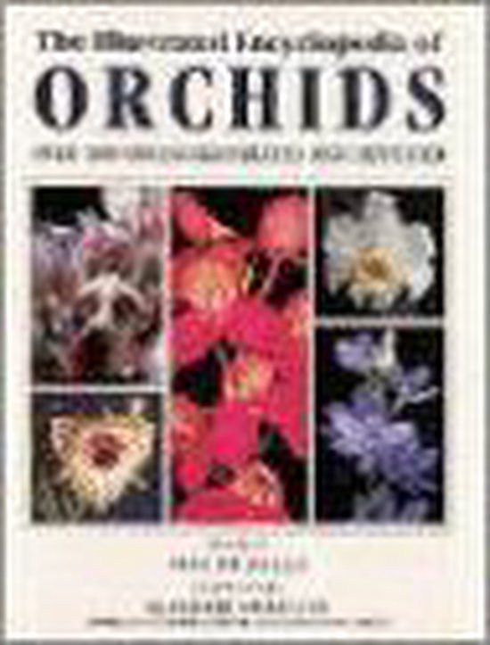 Foto: The illustrated encyclopedia of orchids