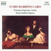 Various Sopranos - Famous Soprano Arias Italian Opera (CD)