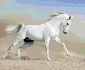 DP® Diamond Painting pakket volwassenen - Afbeelding: Wit Paard in Stofwolk - 40 x 60 cm volledige bedekking, vierkante steentjes - 100% Nederlandse productie! - Cat.: Dieren - Paarden