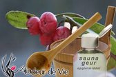 Saunageur Opgiet Wintergreen 250ml