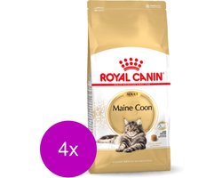 Royal Canin Maine Coon Adult - Kattenvoer - 4 x 4 kg