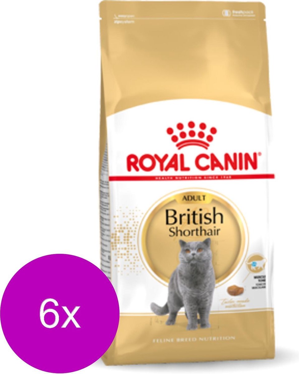 Royal Canin British Shorthair - speciaal voer voor spieren & tandgezondheid thumbnail 5