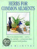 Herbs for Common Ailments