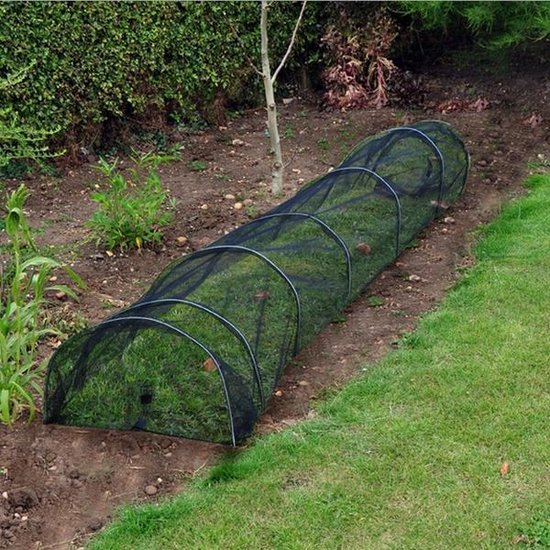 Kweektunnel met zwart gaasnet 3.10x0,50 m | Kweektunnels voor plantenbescherming online te bestellen Kweektunnel met zwart gaasnet 3.10x0,50 m | Kweektunnels voor plantenbescherming online te bestellen