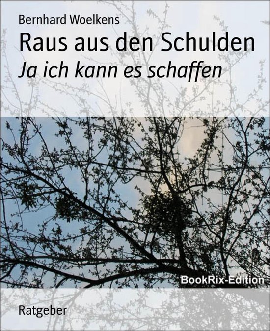Raus aus den Schulden - cover