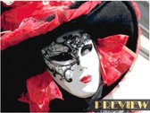 DP® Diamond Painting pakket volwassenen | Venice Carnival Red - 60 x 45 cm | Volledige bedekking met vierkante steentjes | FULL | DP Diamond Paintings