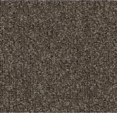 Forbo Coral Classic 90 x 55 cm Taupe 4764