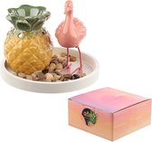 Eden Ananas & Flamingo Keramiek Diffuser Set