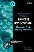 2001 Professional's Guide To Process Improvement, Maximizing Profit, Efficiency, And Growth [With Word 6.0 Or Worfperfect 6.0 For Windows]