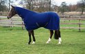 Bruin paard met een donkerblauwe fleecedeken met witte bies en kruissingels, staand in een weiland.