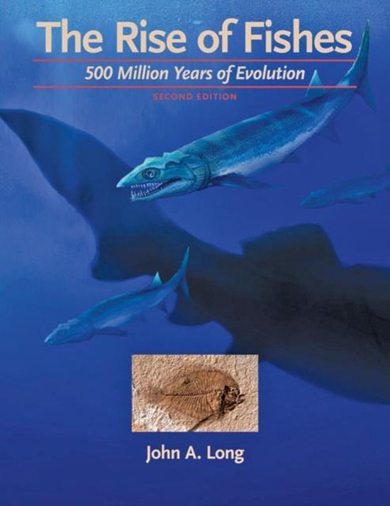 Rise Of Fishes - cover