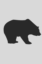 Bears Journal