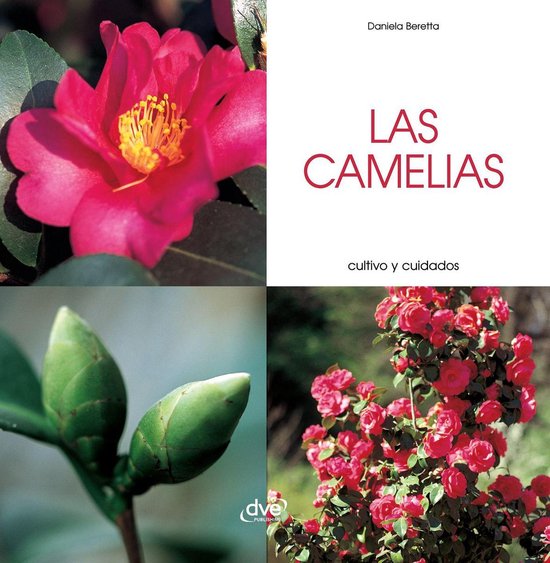 Las camelias - Cultivo y cuidados - cover