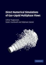Direct Numerical Simulations Gas-Liquid