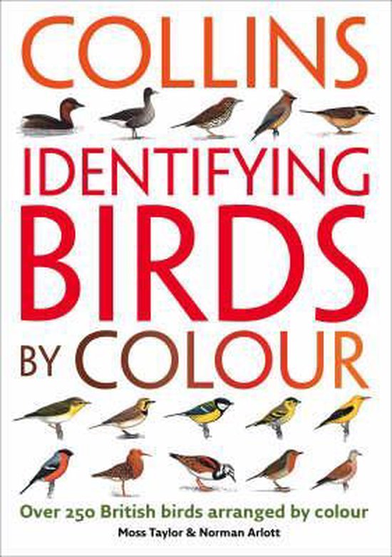 Identifying Birds By Colour - cover