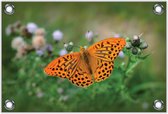 Tuinposter –Oranje Vlinder– 90x60 Foto op Tuinposter (wanddecoratie voor buiten en binnen)