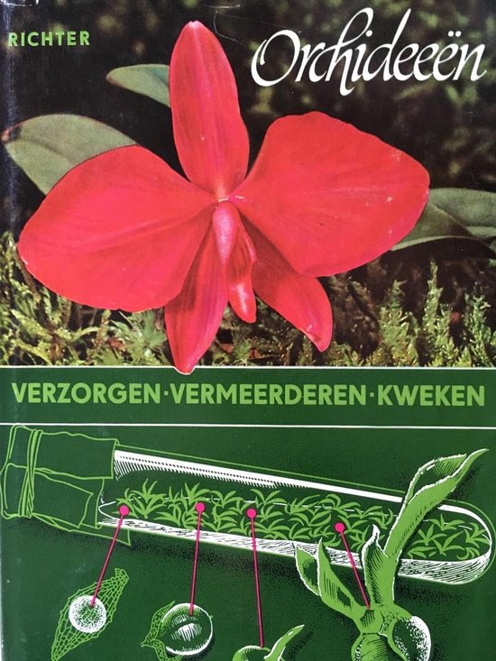 Orchideeën verzorgen vermenigvuldigen