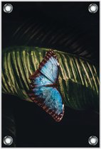 Tuinposter –Vlinder op Blad – 60x90cm Foto op Tuinposter (wanddecoratie voor buiten en binnen)