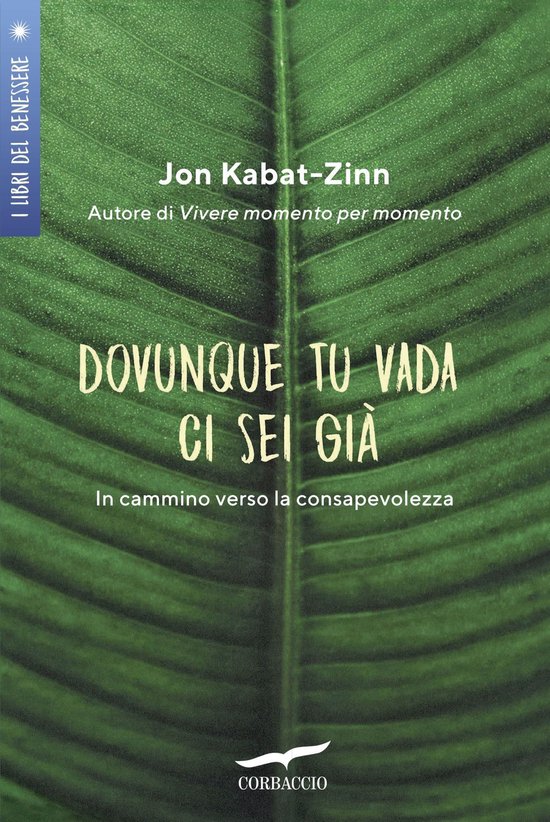 Dovunque tu vada, ci sei già - cover