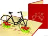Zwarte fiets met rode tulpen