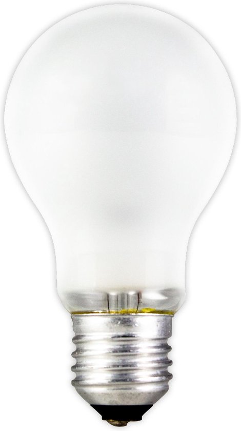 Gloeilamp - 60W E27 mat 710 lumen - (10 stuks) | bol.com