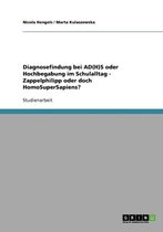 Diagnosefindung Bei Ad(h)S Oder Hochbegabung Im Schulalltag - Zappelphilipp Oder Doch Homosupersapiens?