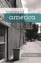 Pieces of America
