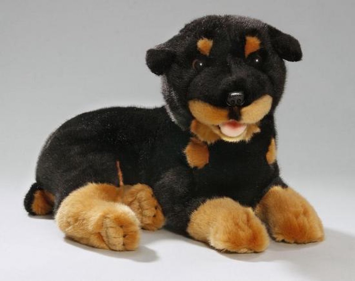 Oranje Speelgoed Pomeriaan Puppy Ontmoet De Super Schattige Dwerg