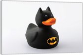 Plexiglas –Batman Badeend– 90x60cm (Wanddecoratie op Plexiglas)