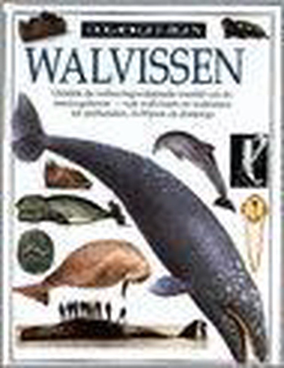 Walvissen, Vassili Papastavrou | 9789002196607 | Boeken | bol.com