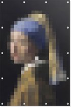 Meisje met de parel | Pixel Art | Johannes Vermeer | Tuindoek | Tuindecoratie | 180CM x 120CM | Tuinposter