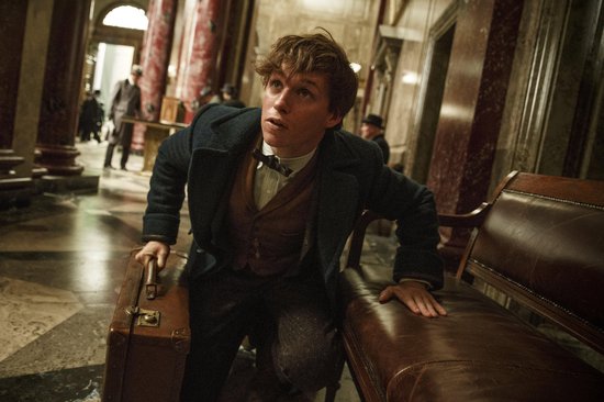Fantastic Beasts and Where to Find Them (Blu-ray & DVD) (Limited edition met Niffler)