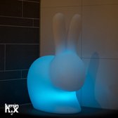 Luminnox | Design Lamp Sam